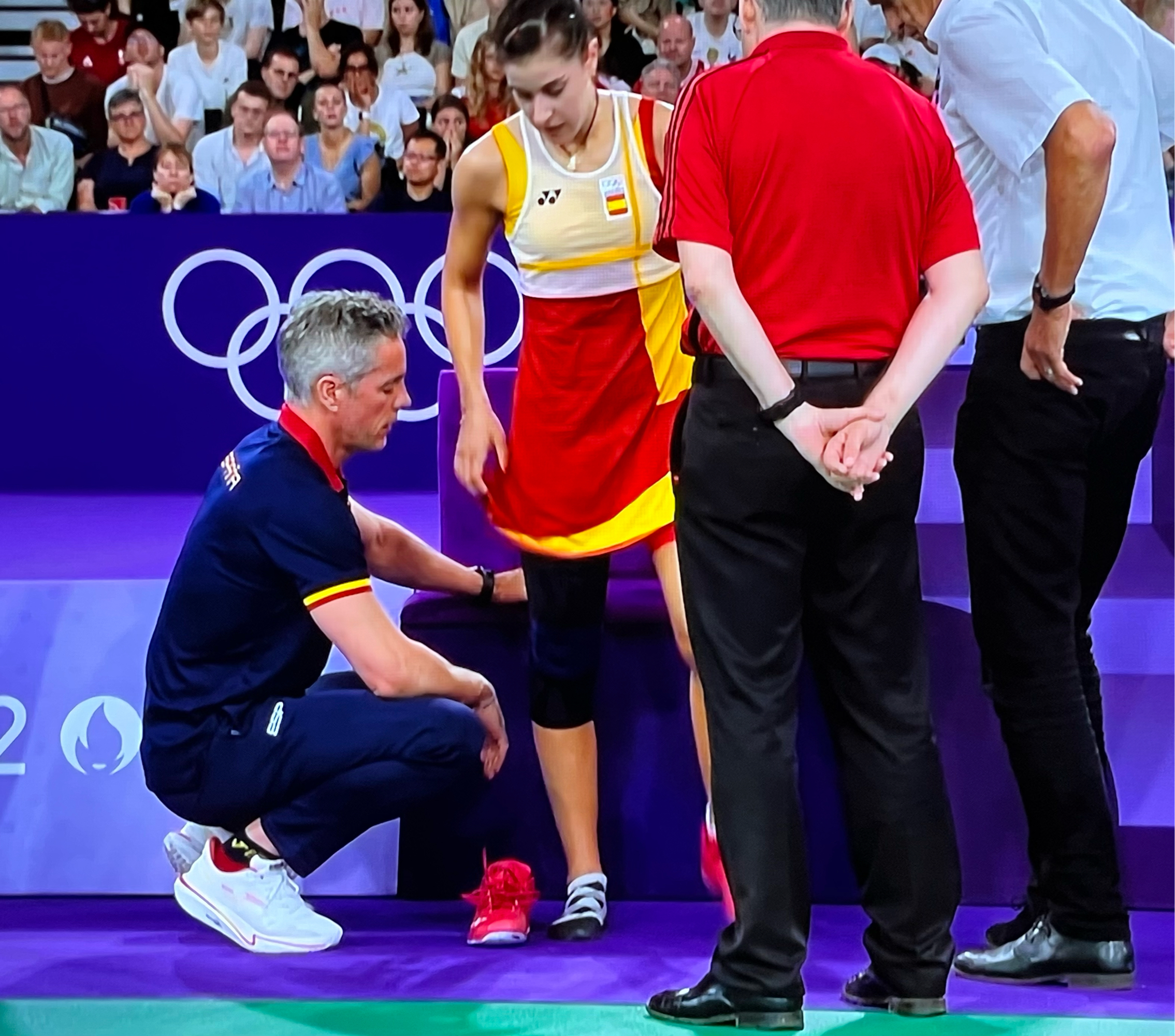 丹麦羽毛球队轻取中国羽毛球队，马琳高光表现的简单介绍