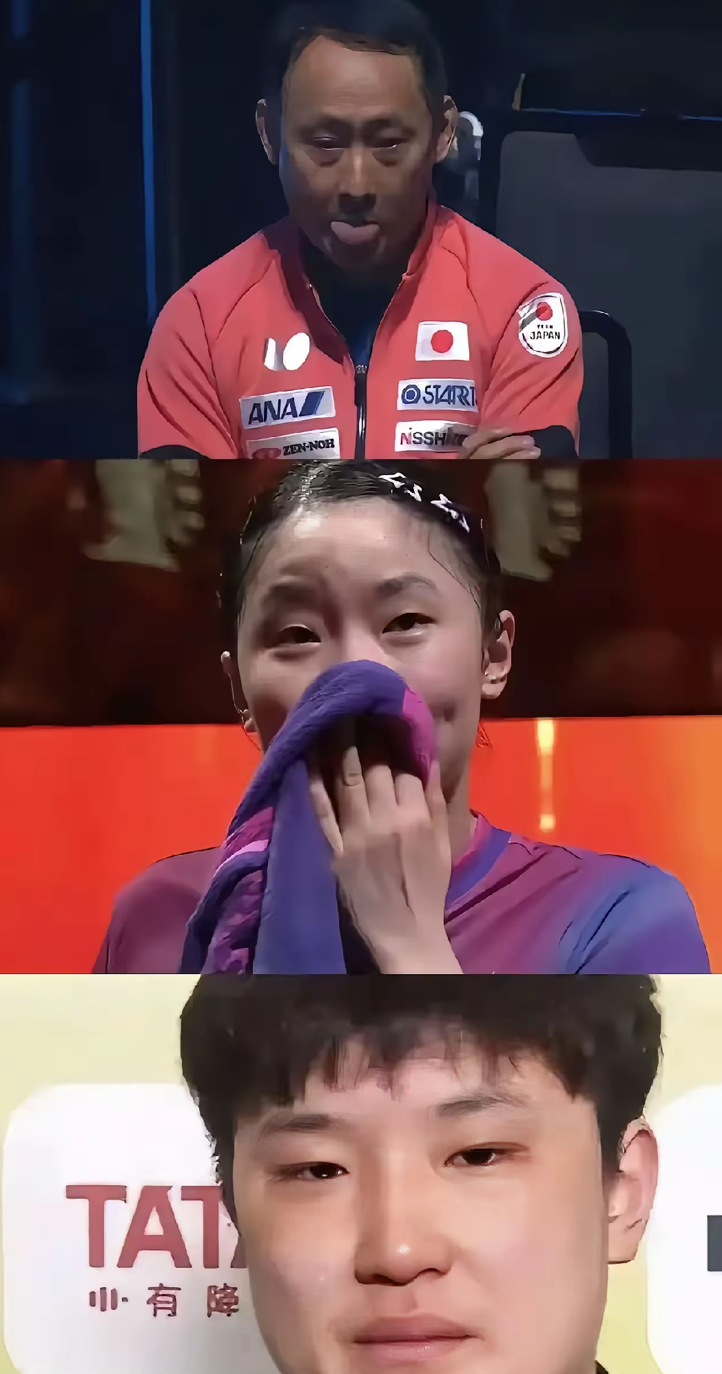 葡萄牙队完胜韩国队,张本智和统治全场的简单介绍 葡萄牙队完胜韩国队,张本智和统治全场的简单介绍